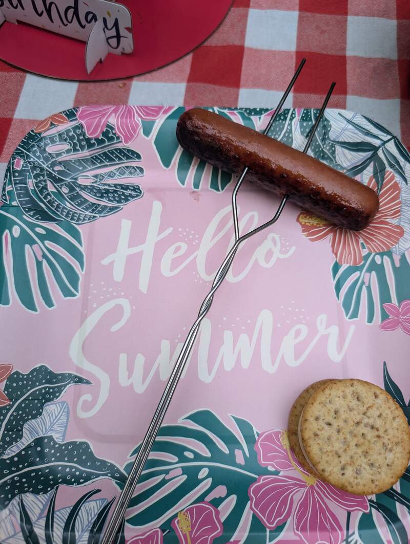 Hello Summer Plate with hot dog and cracker