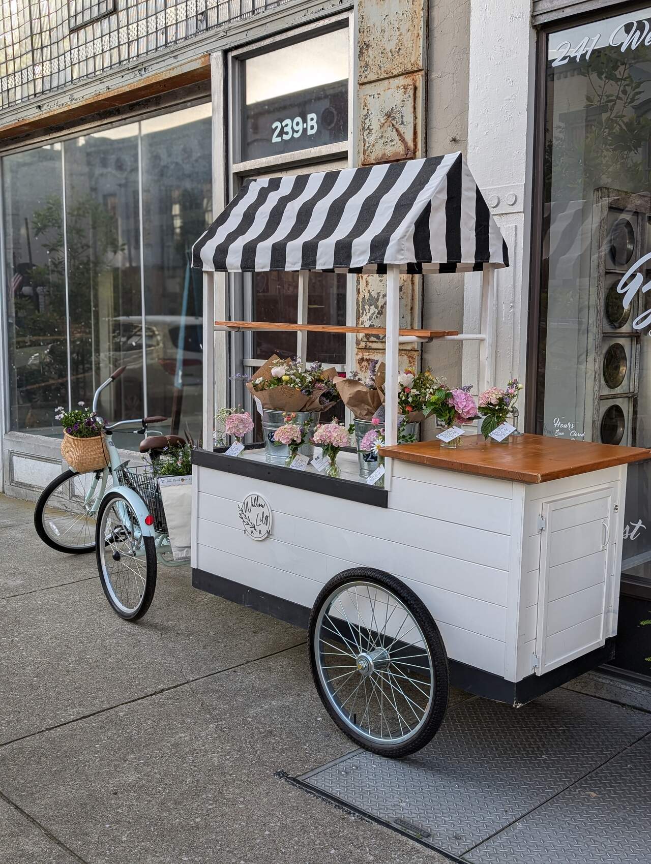 PXL_20250510_113955835.PORTRAIT_med