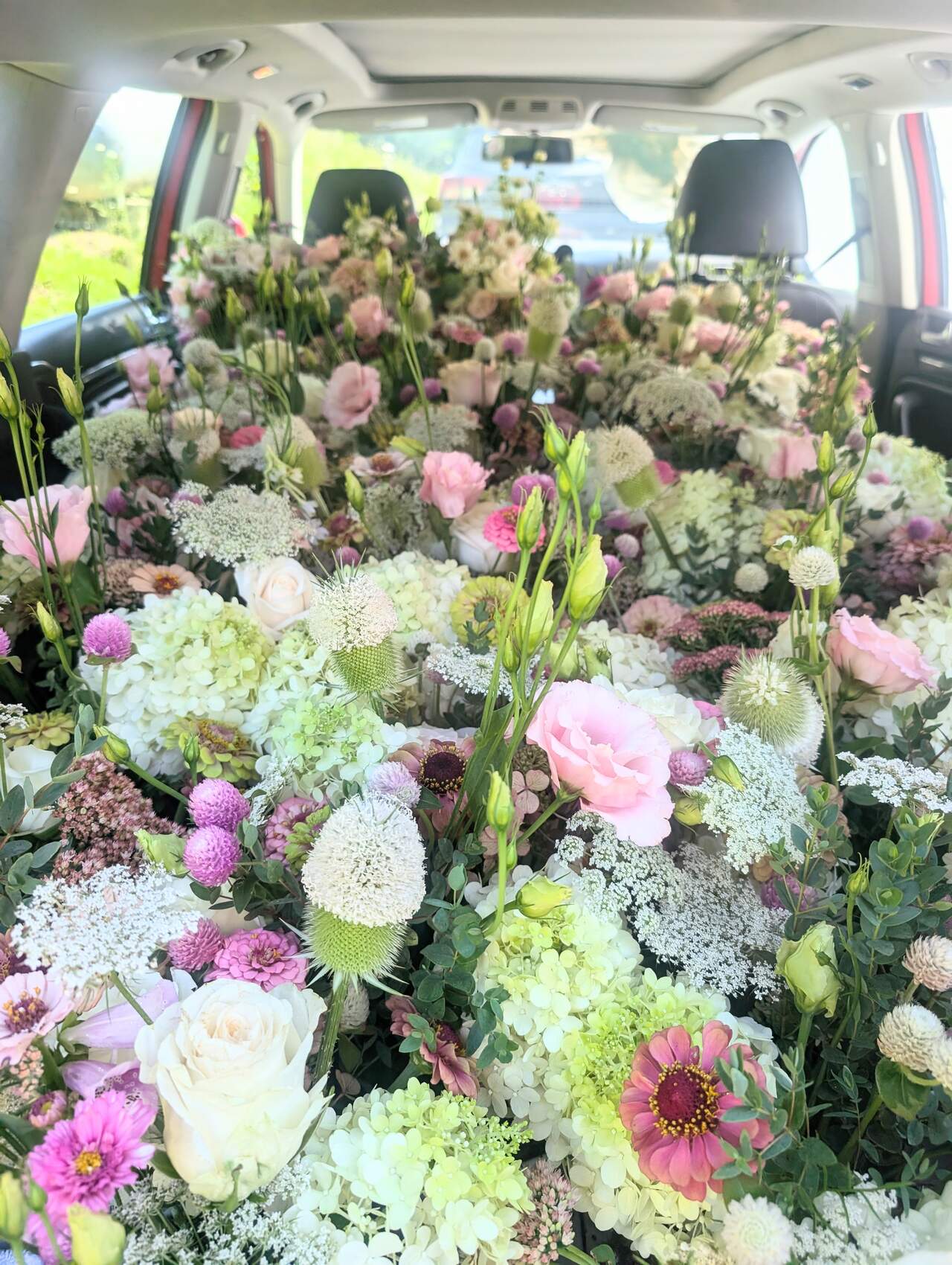 PXL_20250726_1331032552_med